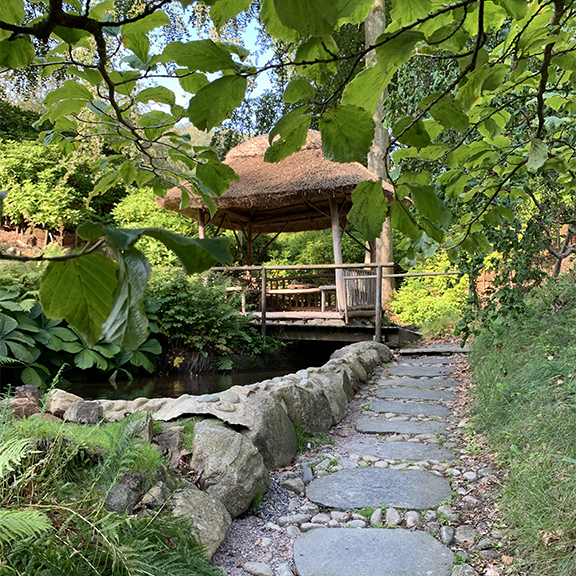 Den japanske have