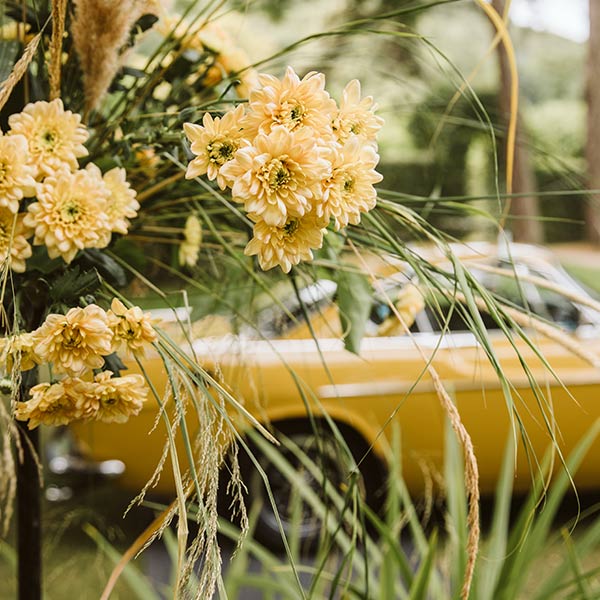 Gul bil i bakgrunden av gula blommor.